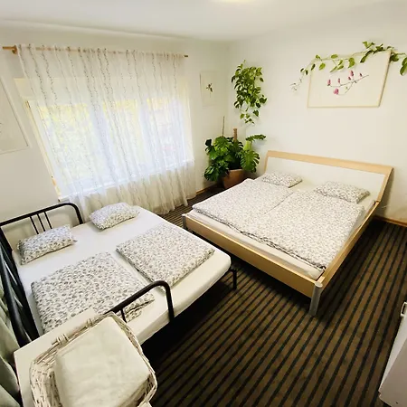 Family Greenslo 2* Ljubljana