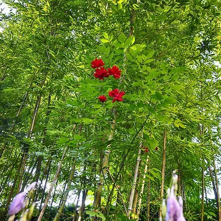 Family Greenslo Gostinjska kuća 2*
