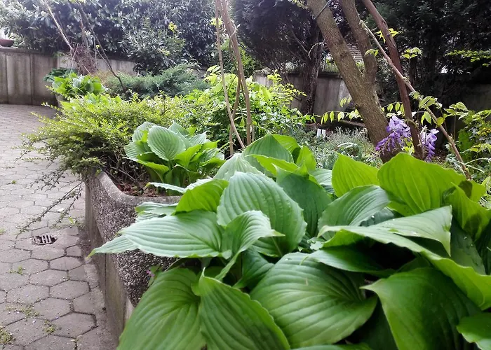 Affittacamere Family Greenslo