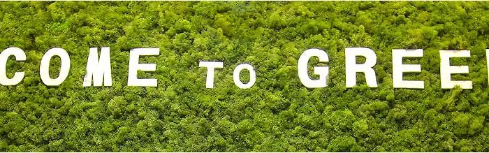 Family Greenslo Affittacamere 2*